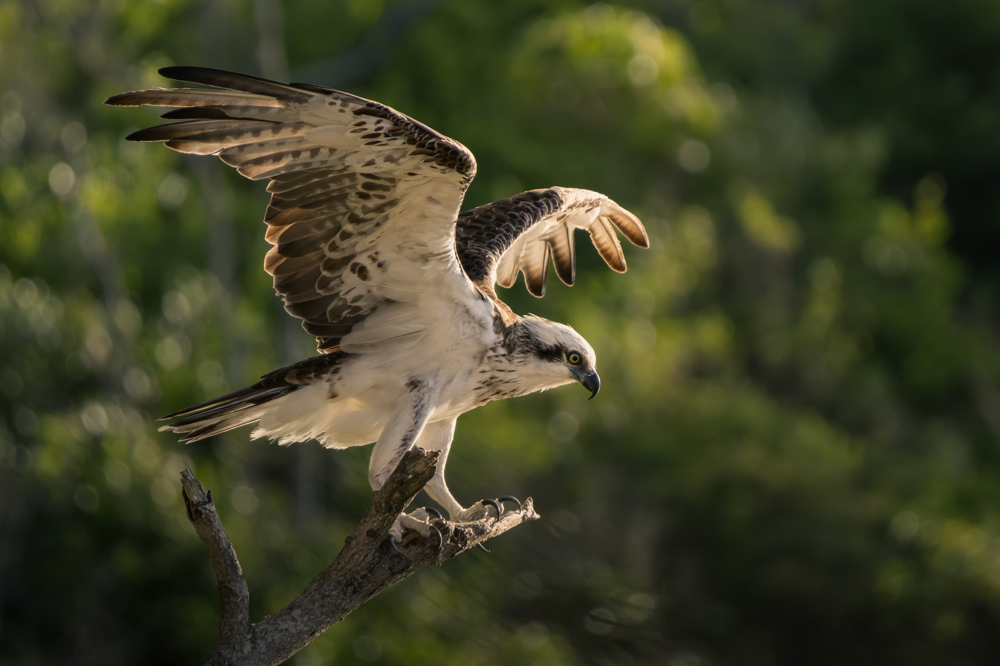 Preparing for take-off